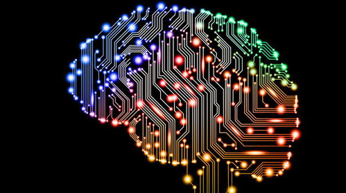 人工智能浪潮下的SEO变革 从2016路线图到基础软件开发